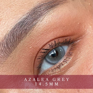Azalea Grey