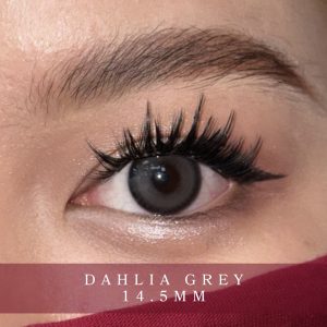 Dahlia Grey