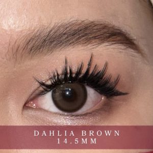 Dahlia Brown
