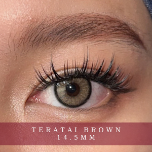Teratai Brown