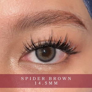 Spider Brown